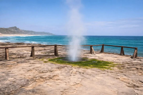 Salalah: Al Fazayah Beach, Shaat Viewpoint & Mugsail Tour