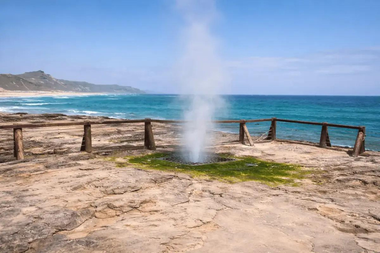 Salalah: Al Fazayah Beach, Shaat Viewpoint & Mugsail Tour