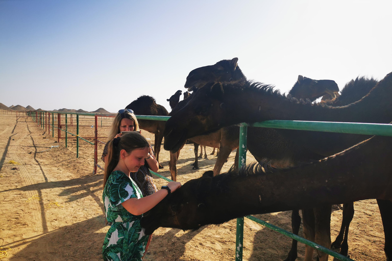 Desert Overnight Tour 1 by Visit Our Salalah