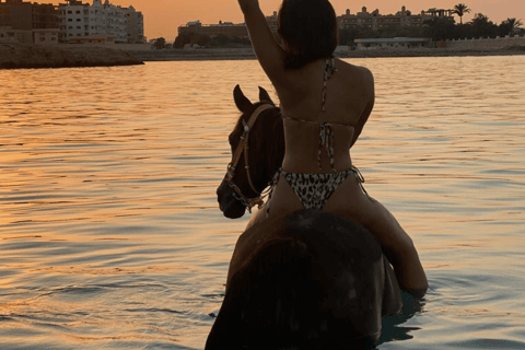 Hurghada: Swimming & Horse riding with FREE Photos & Videos 2-Hour Horse Swimming & Photos with Transfer