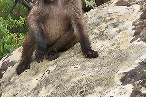 Hiking Tugela Gorge - Highest Waterfall in the world