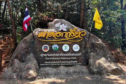 Chiang Mai: Parco nazionale di Doi Inthanon e trekking di Pha Dok Siew