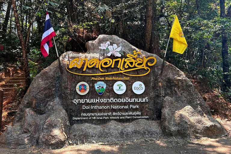 Chiang Mai: Parco nazionale di Doi Inthanon e trekking di Pha Dok Siew