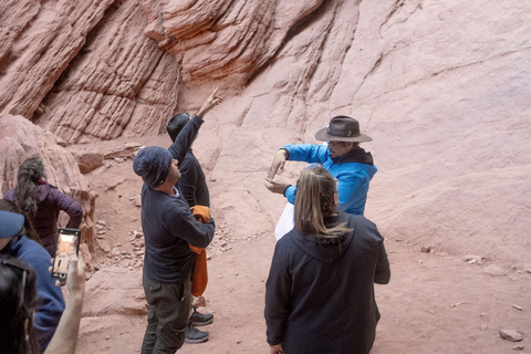 Cafayate: Tour de dia completo por bodegas y degustacion de vinos