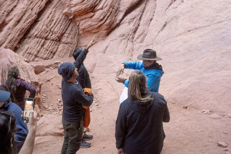 Cafayate: Tour de dia completo por bodegas y degustacion de vinos