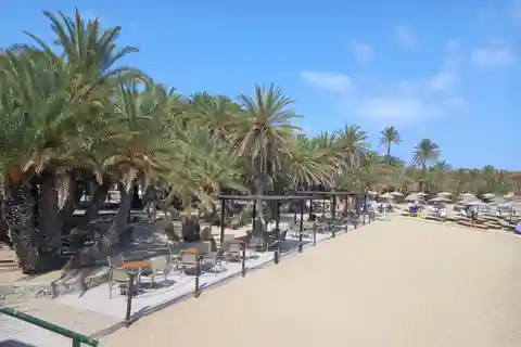 Vai Palm Beach Full Day Private Tour