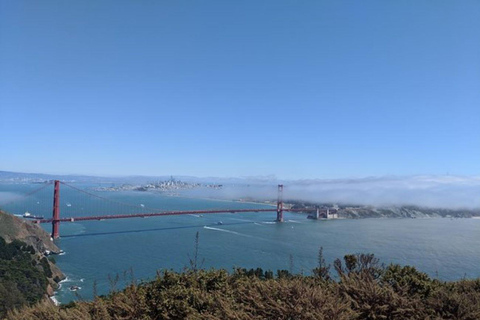 سان فرانسيسكو جولة خاصة لمشاهدة معالم المدينةسان فرانسيسكو: جولة خاصة في المدينة