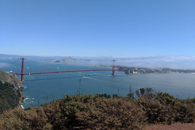 سان فرانسيسكو جولة خاصة لمشاهدة معالم المدينةسان فرانسيسكو: جولة خاصة في المدينة