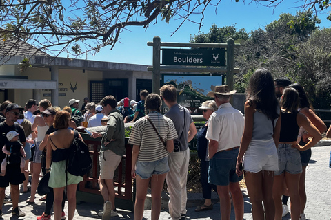 Robben Island, Penguins & Cape of Good Hope Adventure