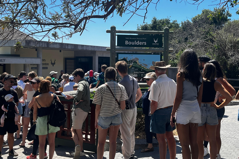 Robben Island, Penguins & Cape of Good Hope Adventure