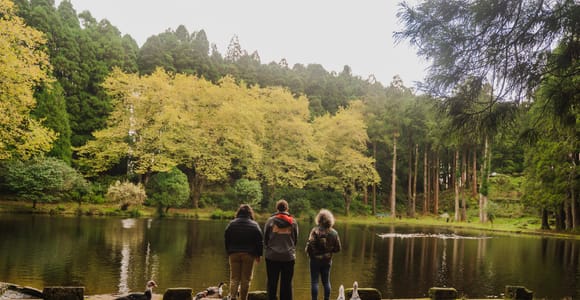 From Angra: Terceira Island Half-Day Highlights Tour