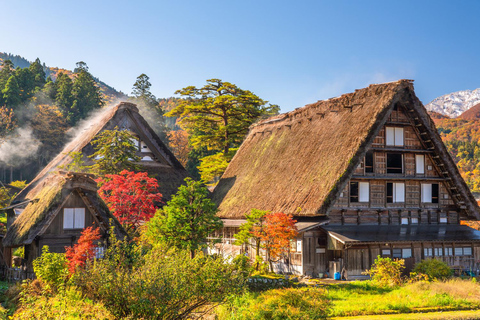 Nagoja: Shirakawa-go, Gujo, Hida Takayama - jednodniowa wycieczka historycznaWycieczka Nagoya Shirakawa-go Hida Takayama Gujo Hachiman