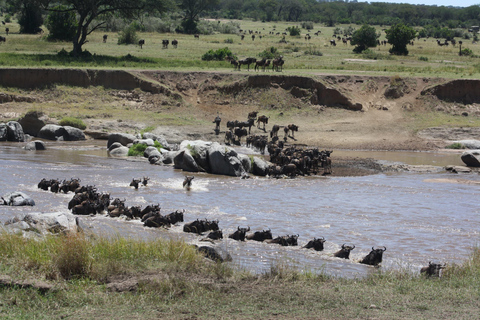 5 DAY SAFARI INTO THE WILD