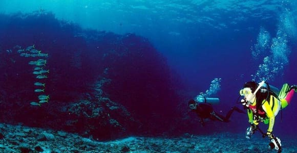Cabo San Lucas: Marine Reserve Dive