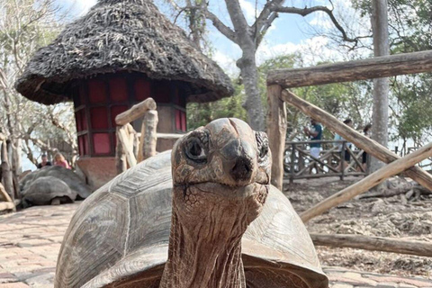 Zanzibar: Prison Island, Stone Town, & Spice Farm Tour TOUR WITH HOTEL PICKUP AND DROP-OFF