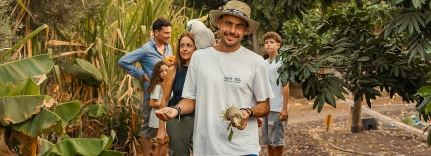 Grande Canarie : Agüimes, moulin à gofio et dégustation à la ferme