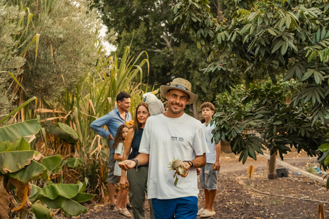 Gran Canaria: Agüimes, Gofio Mill &amp; Eco Farm Food Tasting