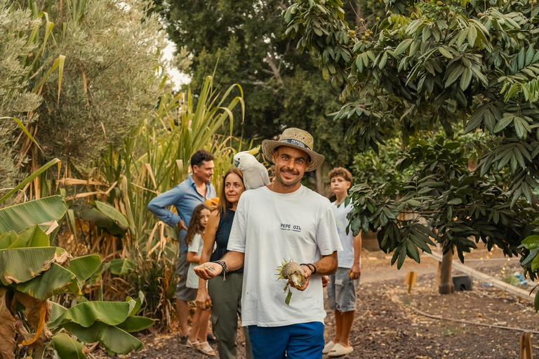 Gran Canaria: Agüimes, Gofio Mill &amp; Eco Farm Food Tasting