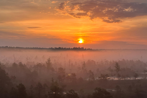 Sunrise Tour To Great Kemeri Bog