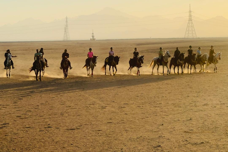 الغردقة: جولة ركوب الخيل في الصحراء والبحر مع خيار السباحةجولة لمدة ساعتين لركوب الخيل بدون السباح