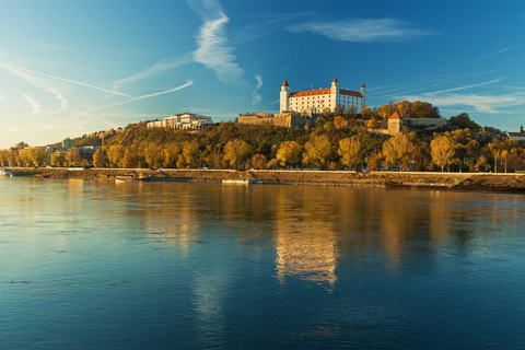 Vienna: tour guidato di un giorno per piccoli gruppi a Bratislava e Budapest
