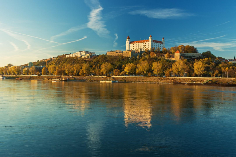 Vienna: tour guidato di un giorno per piccoli gruppi a Bratislava e Budapest