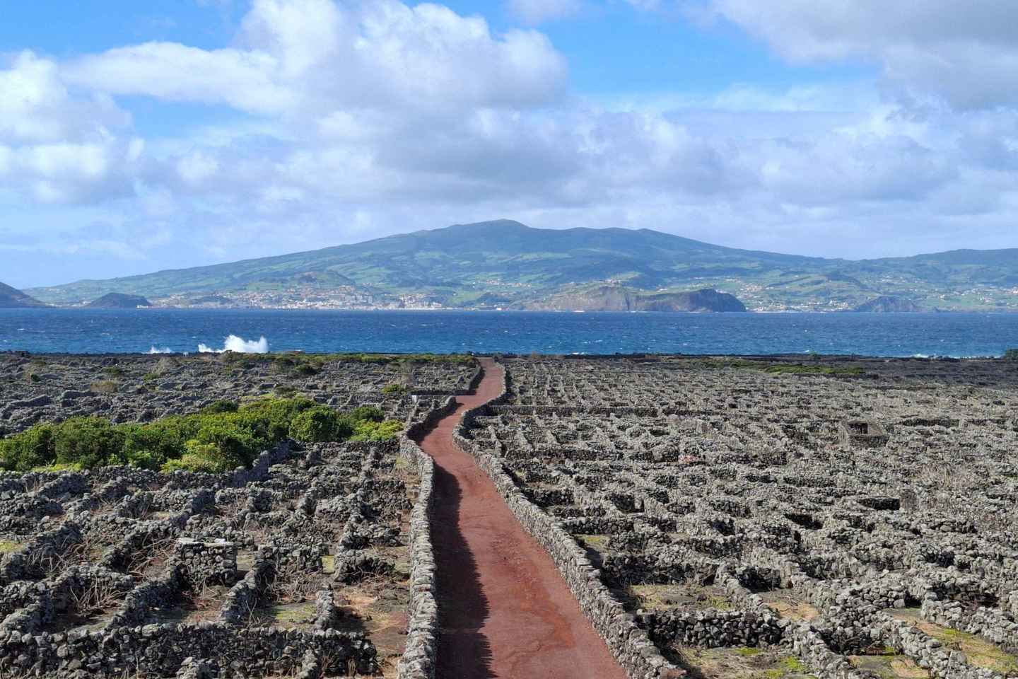 Pico Island: Private Highlights Tour
