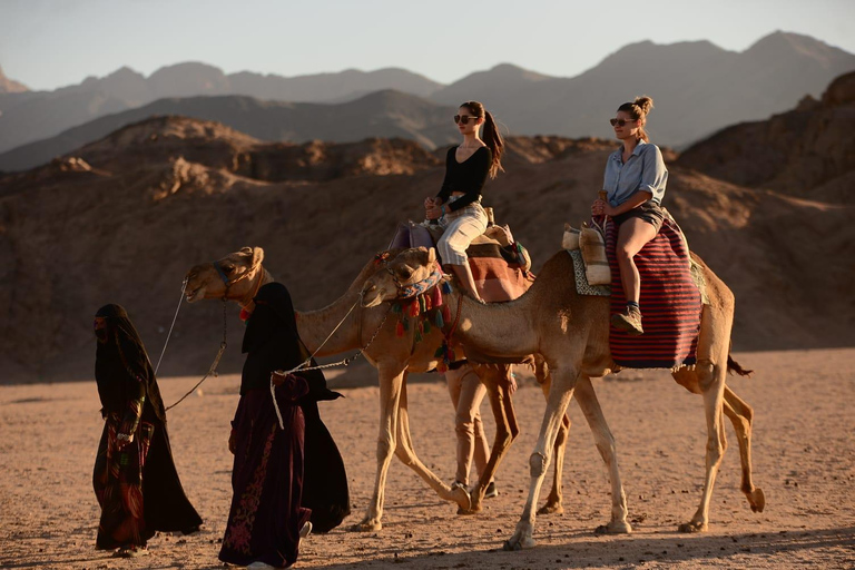Sharm El Sheikh: Desert Jeep Safari & Stargazing Adventure Sunset Jeep Safari + BBQ Dinner