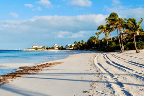 Nassau Bucket List: Private Full-Day Exploration Tour