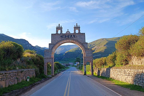 Route Chivay - Puno | Patapampa - wetlands