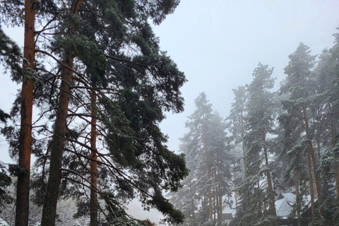 Privat överföring från var som helst i Belgrad till Zlatibor