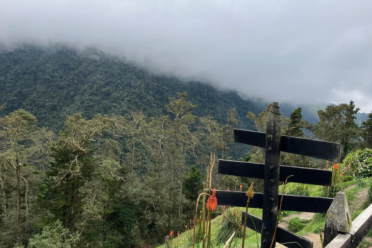 De Medellín: Tour particular de 2 dias em Jardín com actividades