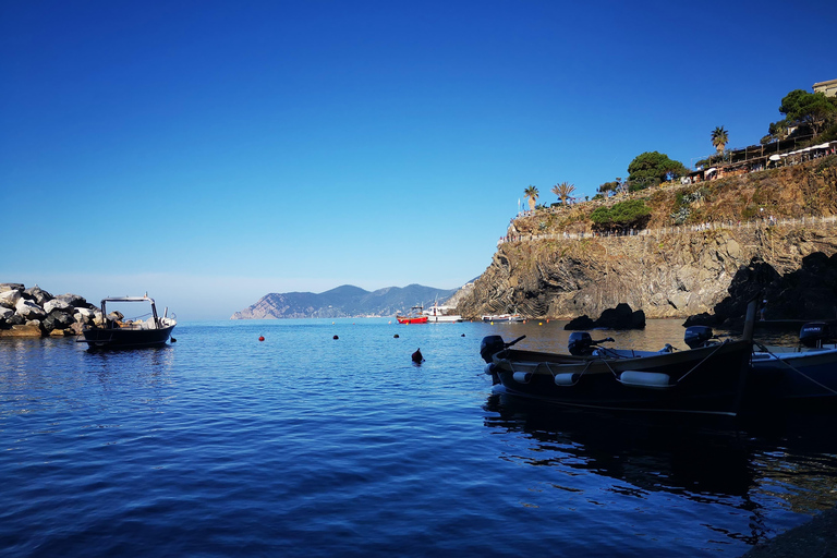 Från Florens: Dagsutflykt i liten grupp till Cinque Terre och Pisa