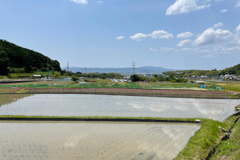 Nara: Guided Countryside Car Tour with Beautiful Landscape