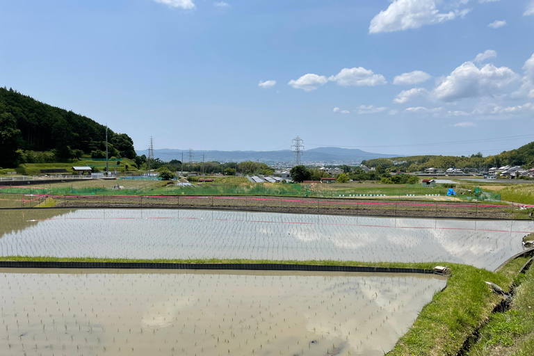 Nara: Guided Countryside Car Tour with Beautiful Landscape