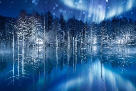 Hokkaido Winter Shikisai no Oka, Blue Pond (Dec.10 - Mar.10) 10:40 am meet at JR Sapporo Station North exit
