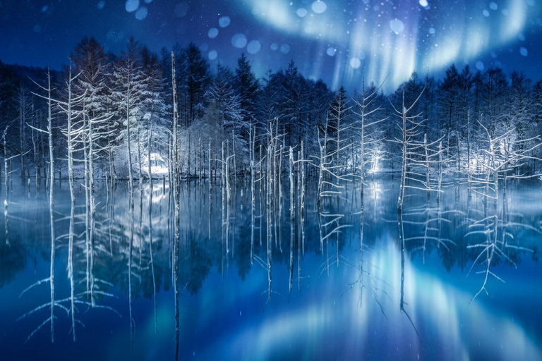 Hokkaido Winter Shikisai no Oka, Blue Pond (Dec.10 - Mar.10) 10:40 am meet at JR Sapporo Station North exit