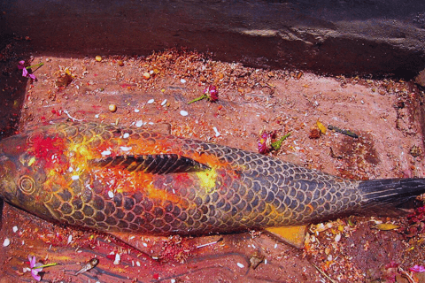 Katmandú: Recorrido a pie por el bazar con refrescos