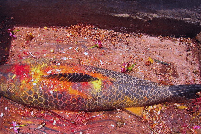 Katmandú: Recorrido a pie por el bazar con refrescos