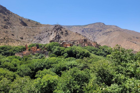 From Marrakech: Three Valleys, Waterfall, Atlas Mount’s Trip Three Valley, Waterfalls, Atlas Mountains Day Trip and Camel