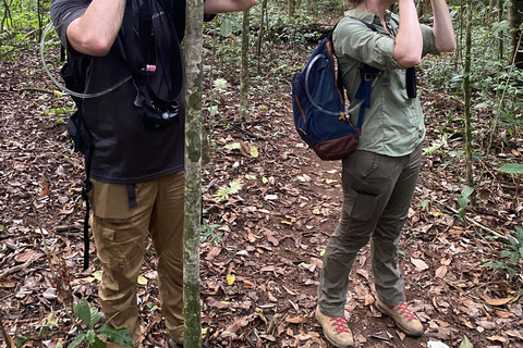 Parque Nacional Corcovado: Excursión de un día desde Puerto Jiménez