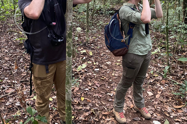 Nationaal Park Corcovado: Eendaagse tour vanuit Puerto Jimenez!