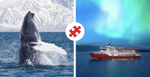 Reykjavik: Whale Watching and Northern Lights Cruise Combo