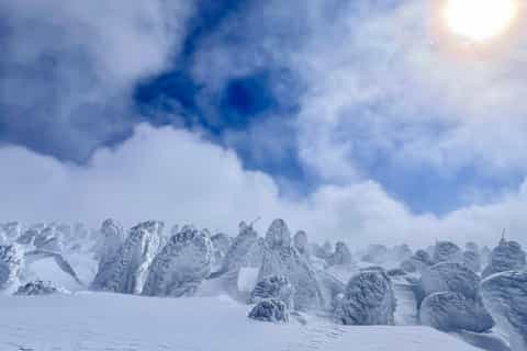 The BEST Yamagata Tours and Excursions in 2026 - FREE Cancellation