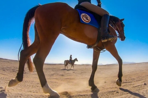 Sharm : Balade à dos à de chameau et aventure arabe avec petit déjeunerSharm : Balade à dos à dos de chameau et aventure dans le désert avec petit déjeuner