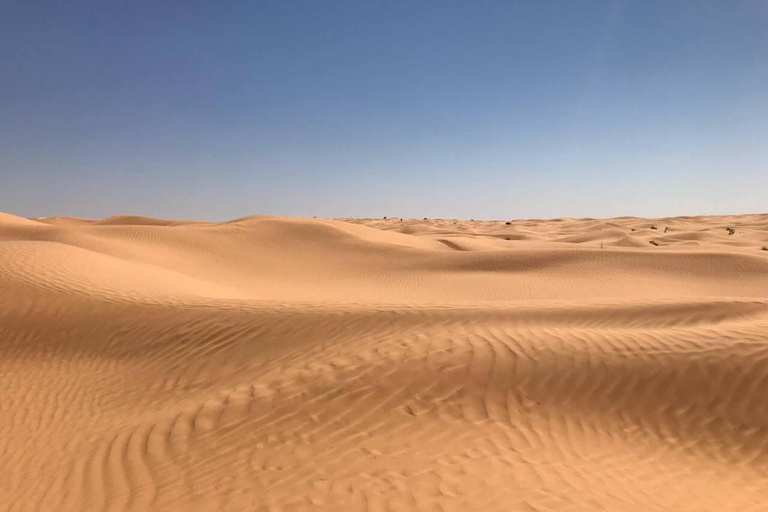 Full Day From Djerba: Ksar Ghilane Oasis & Star Wars Site by JEEP Day Trip from Djerba: Ksar Ghilane Oasis & Star Wars Site by JEEP