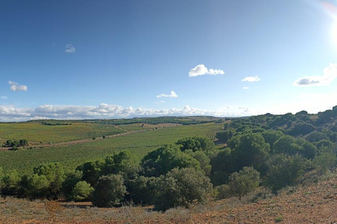 Toro: Harvest Experience
