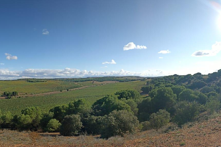 Toro: Harvest Experience