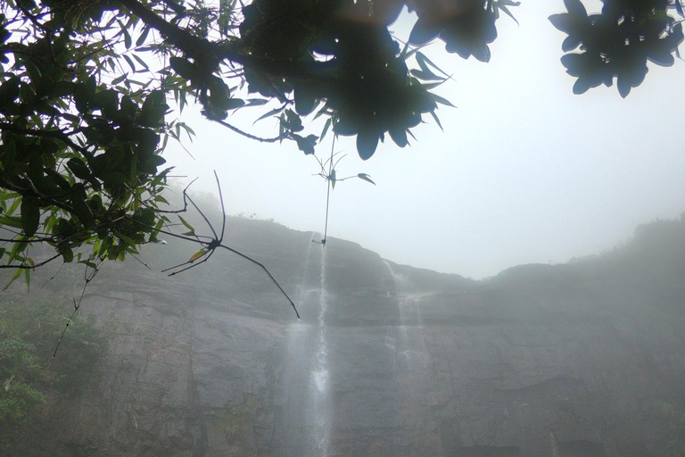 Kandy : Chutes d&#039;eau et visite d&#039;un village local avec déjeuner