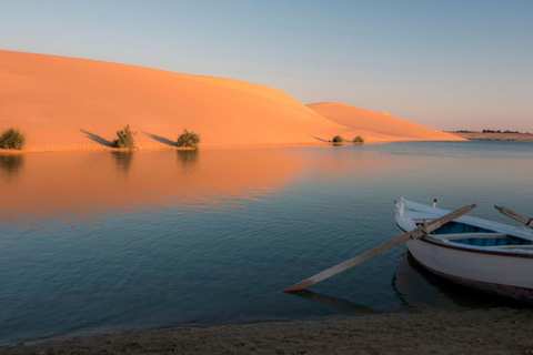 Il Cairo: Fayoum, Wadi El Rayan e Wadi al Hitan Tour 4x4Tour privato senza biglietti e pranzo